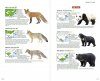 Mammals of China