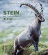 Alpine Ibex / Steinwild am Großglockner