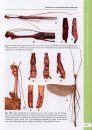 A Taxonomic Guide to the Stick Insects of Borneo, Volume 3