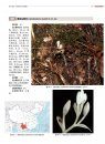 Atlas of Native Orchids in China (2-Volume Set) [Chinese]