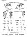 Bone Guide To Selected Land Mammals of the Northwestern States