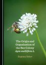 The Origin and Organization of the Bee Colony Apis mellifera L.