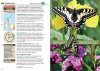 Britain's Butterflies