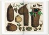 Cabinet of Natural Curiosities / Das Naturalienkabinett / La Cabinet des Curiosités Naturelles