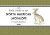 Field Guide to the North American Jackalope
