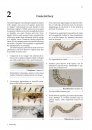 Guide to the Identification of Marine Meiofauna