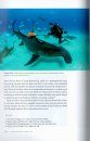 Shark Biology and Conservation