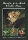 Butterflies of Hatay / Hatay'in Kelebekleri