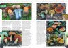 Les Champignons d’Europe Tempérée [Fungi of Temperate Europe] (2-Volume Set)