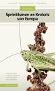 Veldgids Sprinkhanen en Krekels van Europa [Field Guide to the Grasshoppers and Crickets of Europe]
