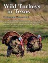 Wild Turkeys in Texas