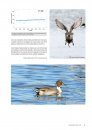 Atlas des Oiseaux Migrateurs et Hivernants d'Aquitaine: Dordogne, Gironde, Landes, Lot-et-Garonne, Pyrénéés-Atlantiques [Atlas of Migratory and Wintering Birds of Aquitaine]