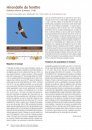 Atlas des Oiseaux Migrateurs et Hivernants d'Aquitaine: Dordogne, Gironde, Landes, Lot-et-Garonne, Pyrénéés-Atlantiques [Atlas of Migratory and Wintering Birds of Aquitaine]