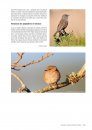 Atlas des Oiseaux Migrateurs et Hivernants d'Aquitaine: Dordogne, Gironde, Landes, Lot-et-Garonne, Pyrénéés-Atlantiques [Atlas of Migratory and Wintering Birds of Aquitaine]