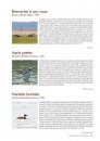 Atlas des Oiseaux Migrateurs et Hivernants d'Aquitaine: Dordogne, Gironde, Landes, Lot-et-Garonne, Pyrénéés-Atlantiques [Atlas of Migratory and Wintering Birds of Aquitaine]