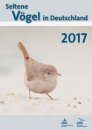 Seltene Vögel in Deutschland 2017 [Rare Birds in Germany 2017]