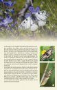 Papillons des Alpes: 238 Espèces de l'Arc Alpin [Butterfles of the Alps: 238 Species from the Alpine Arc]