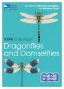RSPB ID Spotlight: Dragonflies and Damselflies
