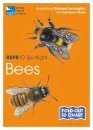 RSPB ID Spotlight: Bees