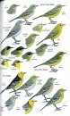 Field Guide to the Birds of Bangladesh