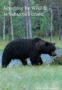 Searching for Wildlife in Subarctic Finland (Region 2)