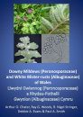 Downy Mildews (Peronosporaceae) and White Blister-Rusts (Albuginaceae) of Wales