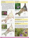 A Flora of Cornwall