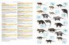 Illustrated Checklist of the Mammals of the World (2-Volume Set)