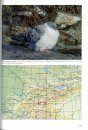 The Birds of Pamirs, Hissar, Alai and Tien Shan. Volume 1: Non-Passerines, Part 2