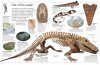 Eyewitness Guide: Fossil