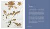 Herbarium