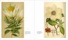 Herbarium