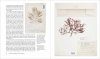 Herbarium