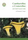 Cantherellus e Craterellus del Friuli Venezia Giulia [Cantherellus and Craterellus of Friuli-Venezia Giulia]