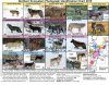 Charting Yellowstone Wolves
