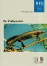 Der Fadenmolch (Lissotriton helveticus) [The Palmate Newt]