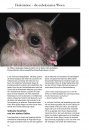Die Fledermäuse Europas: 77 Arten Europas und Angrenzender Gebiete, Lebensräume, Biologie und Schutz [Bats of Britain and Europe]