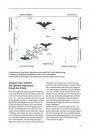 Die Fledermäuse Europas: 77 Arten Europas und Angrenzender Gebiete, Lebensräume, Biologie und Schutz [Bats of Britain and Europe]