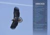 De Zeearend in Nederland: In 15 Jaar naar 15 Paar [The White-Tailed Eagle in the Netherlands: 15 Pairs in 15 Years]