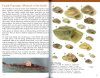 A Field Guide to the Land Snails of Lord Howe Island