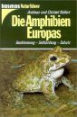 Die Amphibien Europas