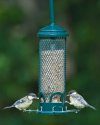 Squirrel Buster Mini Feeder