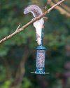 Squirrel Buster Mini Feeder
