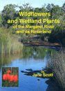 Wildflowers and Wetland Plants of Margaret River and its Hinterland