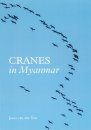 Cranes in Myanmar