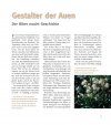 Der Biber: Baumeister mit Biss [The Beaver: Builder with a Bite]