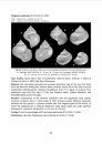 Cenozoic Non-Marine and Brackish Water Gastropods from Italy