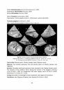 Cenozoic Non-Marine and Brackish Water Gastropods from Italy