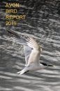 Avon Bird Report 2019