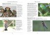 A Naturalist's Guide to the Birds of Sri Lanka
